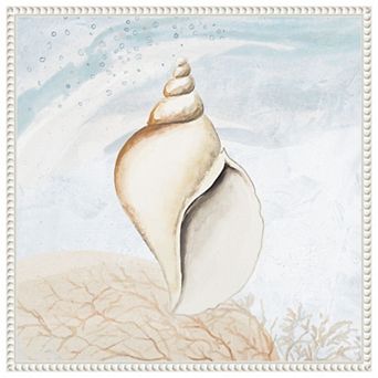 Ocean Oasis Tropical Seashell I By Patricia Pinto Framed Canvas Wall Art Print