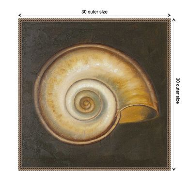 Seashell I By Patricia Pinto Framed Canvas Wall Art Print