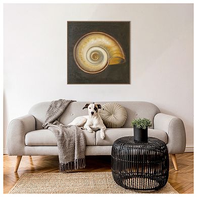 Seashell I By Patricia Pinto Framed Canvas Wall Art Print