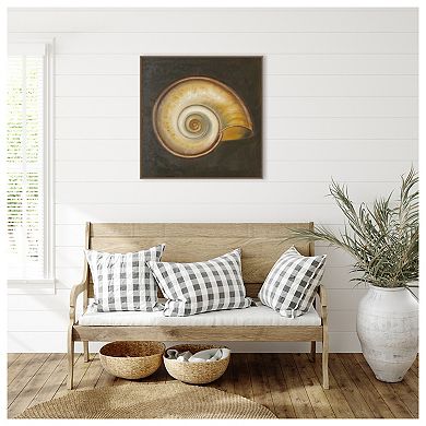 Seashell I By Patricia Pinto Framed Canvas Wall Art Print