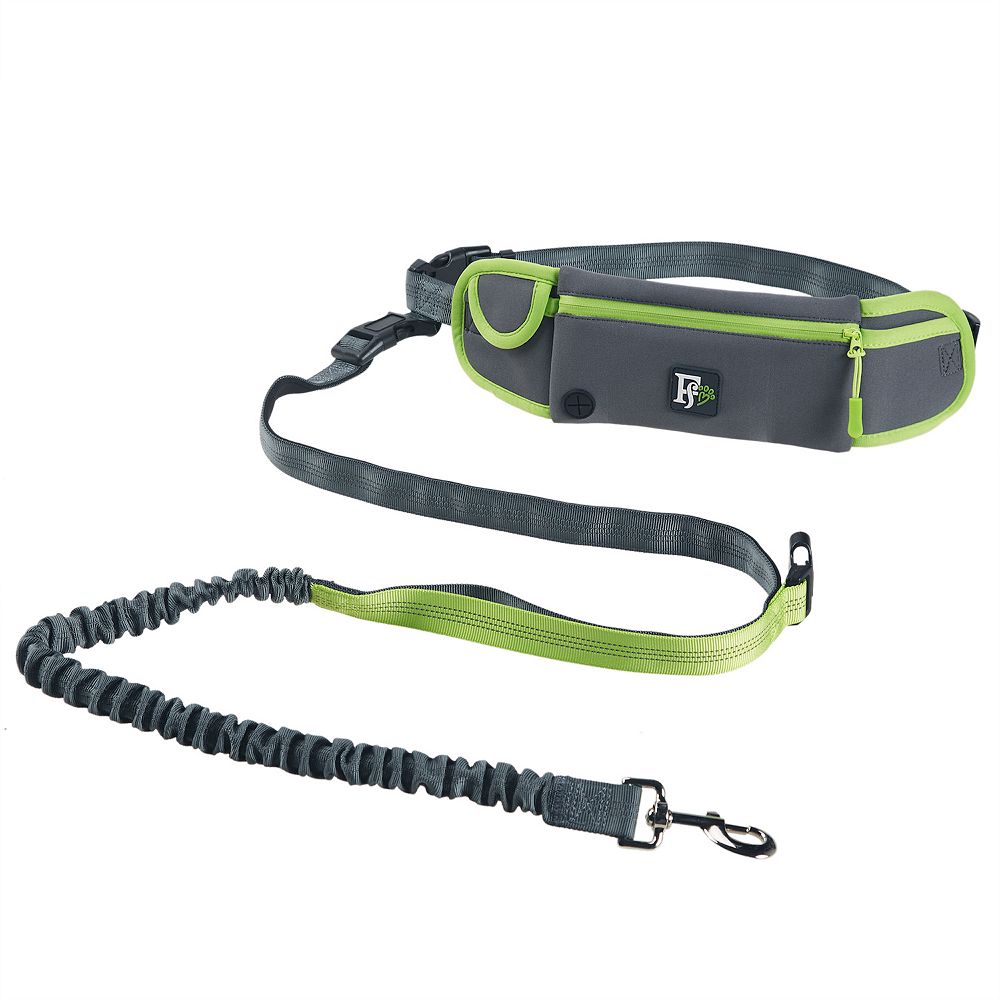 Pet Leash Friends Forever Slip Lead Friends Forever Hands Free Dog