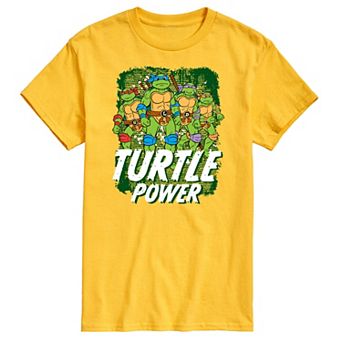 Men's Teenage Mutant Ninja Turtles Power Graphic Tee