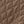Cocoa