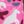 Pink Ice Uniflauge