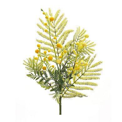 Mimosa Leaf Berry Spray (Set of 6)