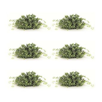 Varigated Spring Boxwood Foliage Half Orb (Set Of 6)