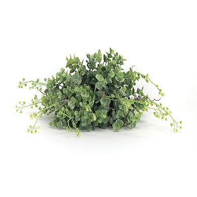 Varigated Spring Boxwood Foliage Half Orb (Set Of 6)