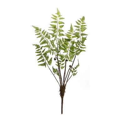 Varigated Fern Bundle With Sprout Accents (set Of 6)