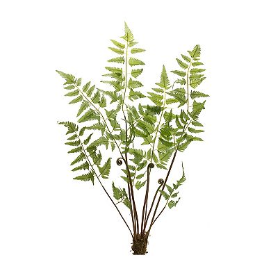 Varigated Fern Bundle With Sprout Accents (set Of 6)