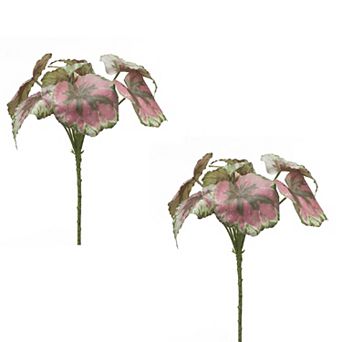 Varigated Begonia Leaf Bush (set Of 2)