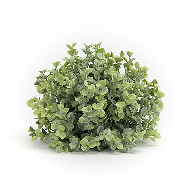 Spring Boxwood Foliage Half Orb - Green (set Of 6)