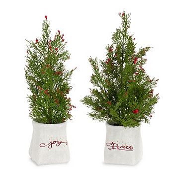 Mini Pine Tree With Berries In Ceramic Pot (Set of 2)