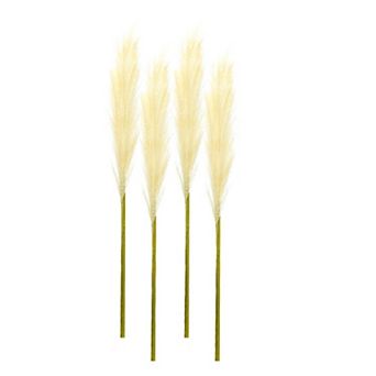 Cream Pampas Gass Stem (set Of 4)