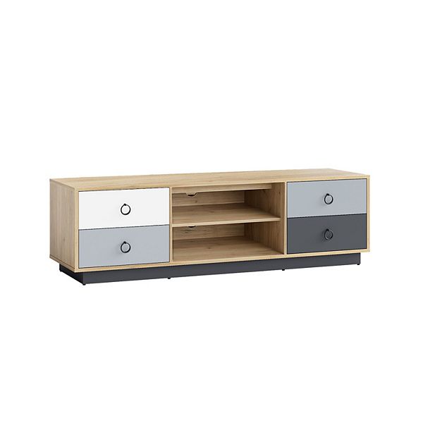 Modern 55 Inch TV Stand with 2 Storage for TVs Up to 60 Inch