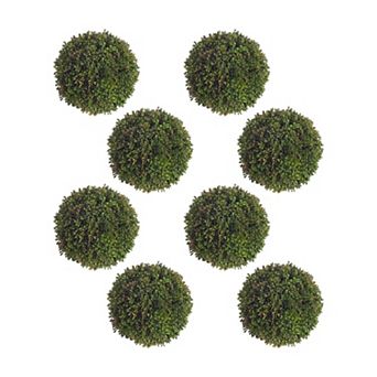 Boxwood Sedum Orb (set Of 8)