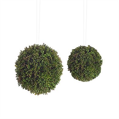 Boxwood Sedum Orb (set Of 8)
