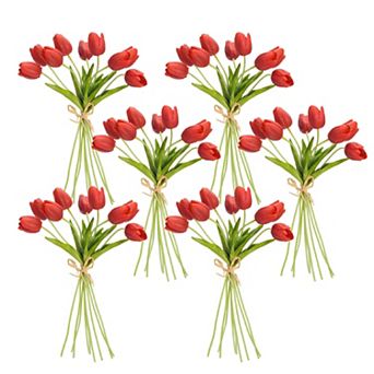 Spring Tulip Bundle (set of 6)