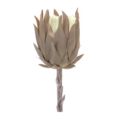 Beige Protea Stem (Set of 6)