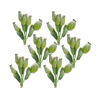 Green Poppy Pod Foliage Bundle (set of 6)