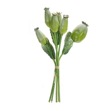Green Poppy Pod Foliage Bundle (set of 6)