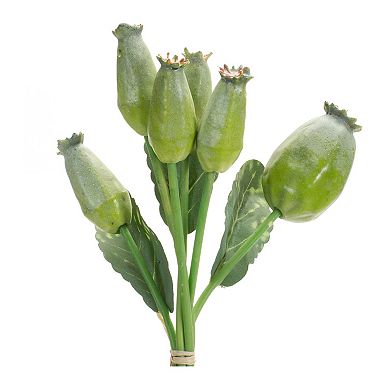 Green Poppy Pod Foliage Bundle (set of 6)