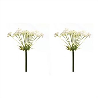 Queen Anne's Lace Stem (Set of 2)