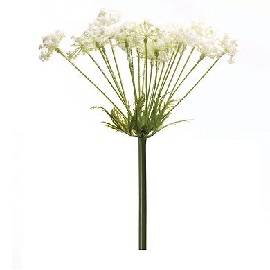 Queen Anne's Lace Stem (Set of 2)