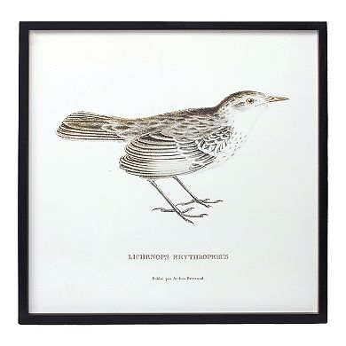 Wood Framed Encyclopedia Bird Print (set Of 5)