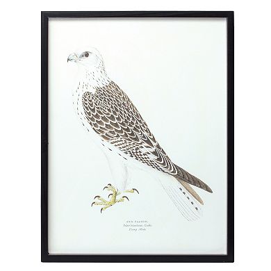Wood Framed Encyclopedia Bird Print (set Of 5)