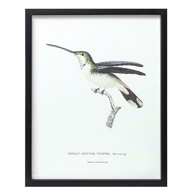 Wood Framed Encyclopedia Bird Print (set Of 5)