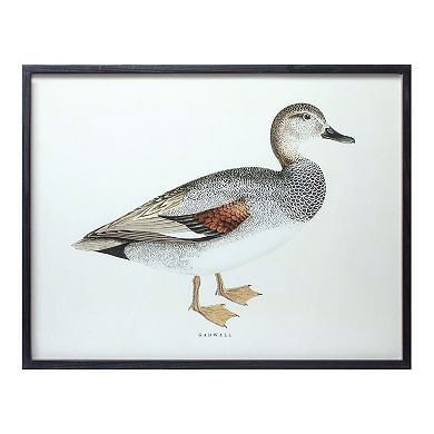 Wood Framed Encyclopedia Bird Print (set Of 5)