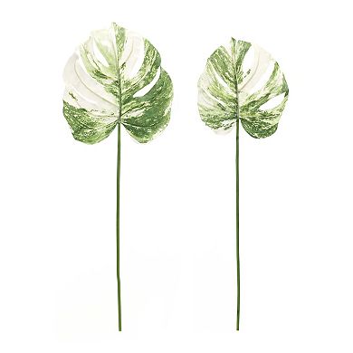 Light Varigated Philo Leaf Stem (Set of 12)