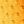 Squad Orange