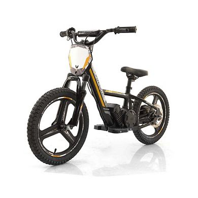 Voltaic Lion PRO Kids Dirt Bike 16"