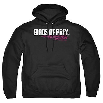 Birds Of Prey Horizontal Logo Adult Pull Over Hoodie
