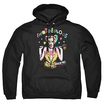 Birds Of Prey Fantabulous Adult Pull Over Hoodie