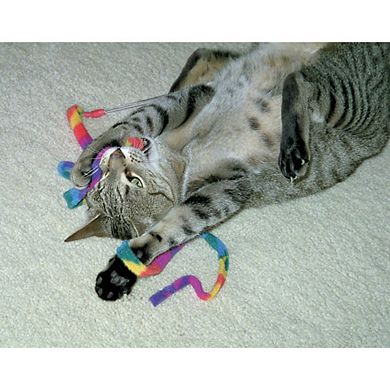 Cat Dancer 301 Cat Charmer Interactive Cat Toy Rainbow