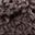 Fossil