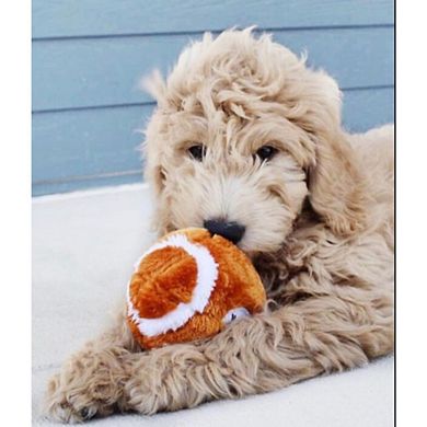 Spot Spotbites Plush Football Dog Toy - 4.5"