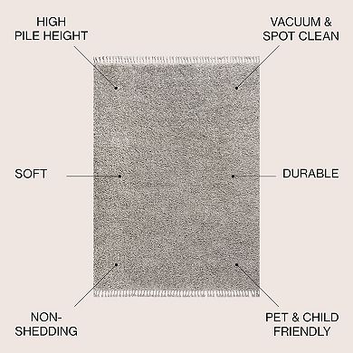 Mercer Shag Plush Tassel Area Rug