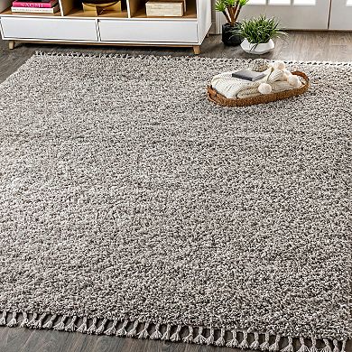 Mercer Shag Plush Tassel Area Rug