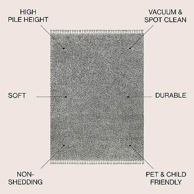 Mercer Shag Plush Tassel Area Rug