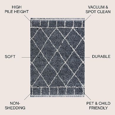 Mercer Shag Plush Tassel Moroccan Geometric Trellis Area Rug