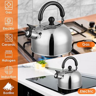 Silver, 2.1quarts, Stainless Steel Whistling Tea Kettle
