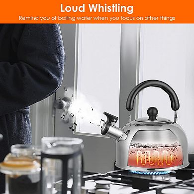 Silver, 2.1quarts, Stainless Steel Whistling Tea Kettle