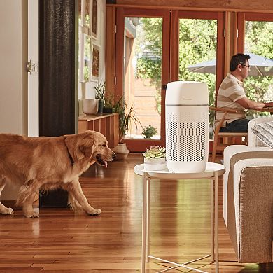 Homedics 3-in-1 HEPA Air Purifier for Medium Rooms