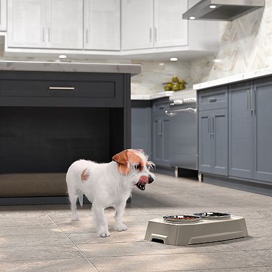 Suncast Elevated Pet Feeding Tray