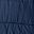 Collegiate Navy