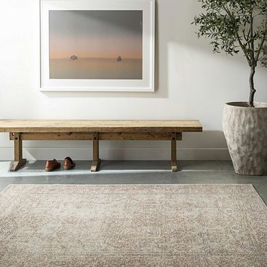 Margot Traditional Area Rug - Becki Owens X Livabliss