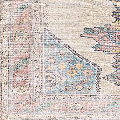 Lagedijk Traditional Washable Area Rug